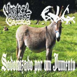 Sodomizado por um Jumento